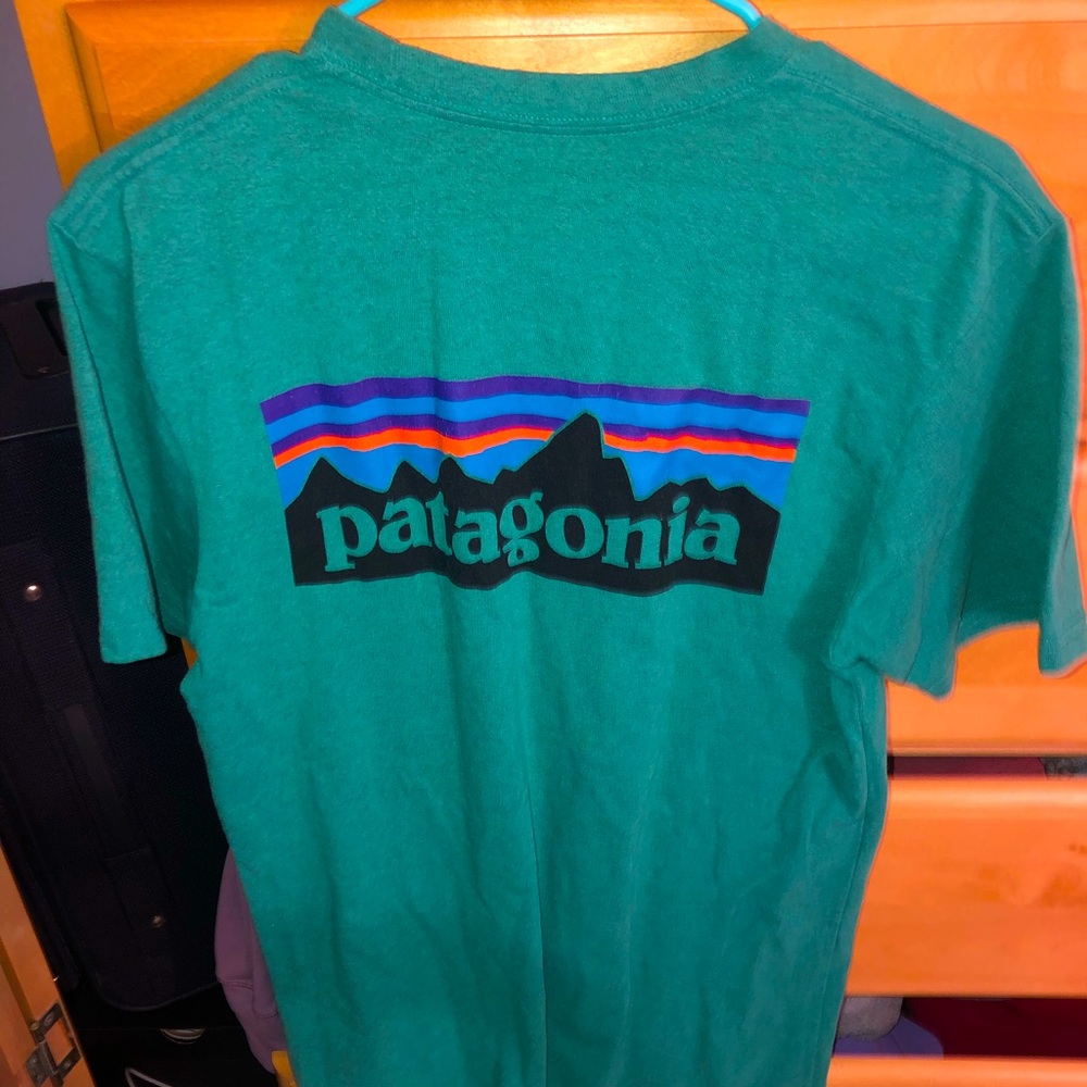 Teal patagonia tshirt